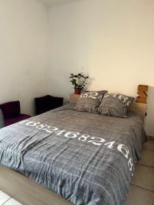 um quarto com uma cama com um edredão cinzento em Appartement 1 chambre et 1 canapé-lit em Lorgues