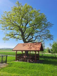 a picnic shelter with a tree in a field at Pokoje Izabela - Noclegi Graboszyce - Zator in Graboszyce