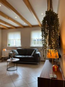 uma sala de estar com um sofá e uma planta em De Bakkerij em Baaiduinen