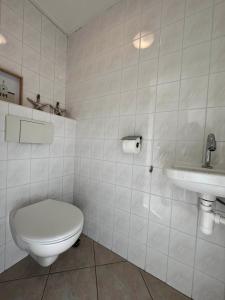 a white bathroom with a toilet and a sink at De Bakkerij in Baaiduinen