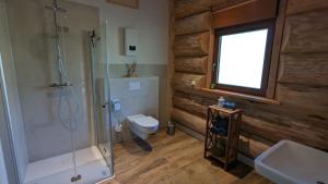 a bathroom with a shower and a toilet and a window at Waldzeit Lodge - Ferienwohnung Fuchs in NeuhÃ¼tten