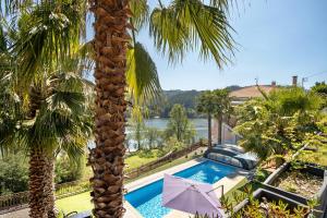 a palm tree standing next to a swimming pool at Porto Douro - appartement 1 in Crestuma