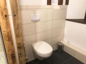 W pokoju znajduje się łazienka z białą toaletą. w obiekcie Ferienwohnung Penzlin im Rittergut Leppersdorf w mieście Leppersdorf