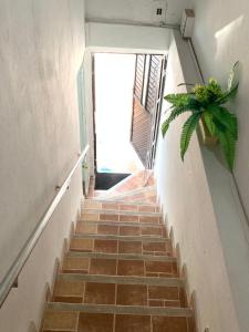 una escalera que conduce a una puerta con una planta en Acogedor Apartamento 2 alcobas cerca al mar, en Puerto Salgar