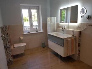 ein Badezimmer mit einem Waschbecken, einem WC und einem Spiegel in der Unterkunft Haferspieker in Mittelangeln