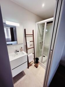 a bathroom with a sink and a shower at ABBAYE DE BLANCHELANDE in Neufmesnil +88 photos