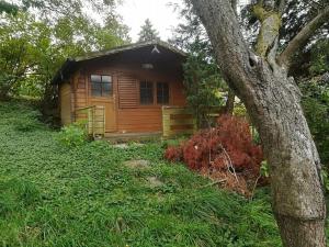 Zahrada ubytování 3072 Apartment MITTERFELD - Top B