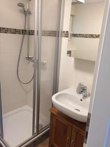 a bathroom with a shower and a sink at Bungalow Schoner Greif, Bgl 8 in Dranske