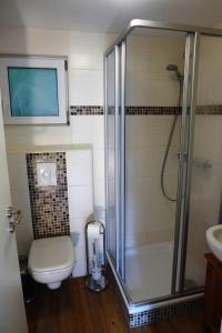 a bathroom with a shower and a toilet and a sink at Bungalow Schoner Greif, Bgl 8 in Dranske
