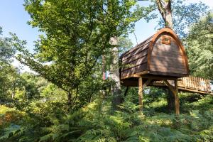 Φυσικό τοπίο κοντά σε αυτό το κάμπινγκ