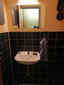 La salle de bains est pourvue d'un lavabo et d'un miroir. dans l'établissement Wohnung in Hahnenklee mit Garten, à Goslar