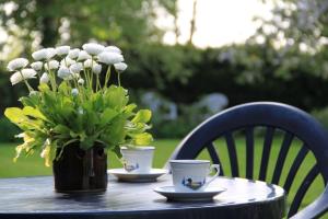 Κήπος έξω από το Ferienhof Schoof No1