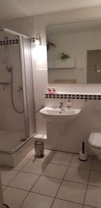 a bathroom with a sink and a shower and a toilet at Souterrain - a72405 in Rheinbach