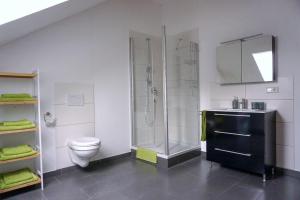 a bathroom with a shower and a toilet and a sink at Ferienwohnung AUSZEIT Ottobeuren in Ottobeuren