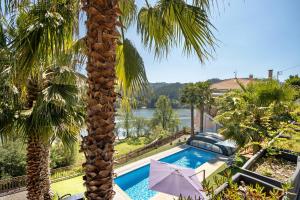 a palm tree standing next to a swimming pool at Porto Douro - appartement 2 in Foz do Sousa