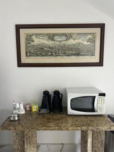 a microwave on a counter with a picture above it at Hotel Modena - São José dos Campos in São José dos Campos