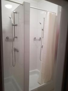 a bathroom with a shower with a shower curtain at 3072 Apartment MITTERFELD - Top A in Kasten bei Böheimkirchen