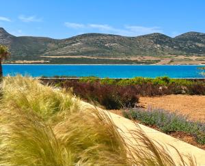 a field of grass with a view of a body of water at Farous seaside sunset villa II in Andiparos