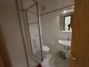 a bathroom with a shower and a toilet and a sink at 17 Apartments und 2 Suiten in Zwingenberg