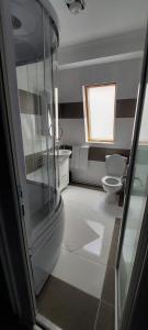 a bathroom with a toilet and a glass shower at Harmony House in Târgu Jiu