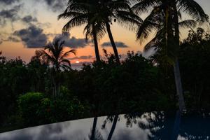 una puesta de sol con palmeras y un reflejo en una piscina en Villa Calico, en Les Basses