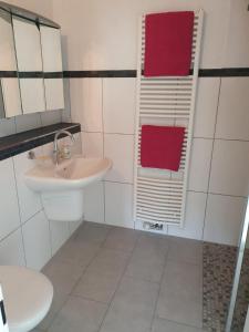 La salle de bains est pourvue d'un lavabo, de toilettes et de serviettes rouges. dans l'établissement Ferienwohnung am Bregenberg, à Bräunlingen