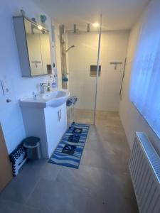 een badkamer met een wastafel en een douche bij Ferienwohnung Weißenfels Fam Fricke in Weißenfels