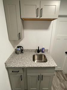 a kitchen with a sink and a counter top at A Restful Retreat - Walk to Mayo - Free Parking in Rochester