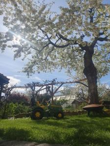 un tractor sentado en la hierba bajo un árbol en Ferienwohnung Cumbach, en Rudolstadt