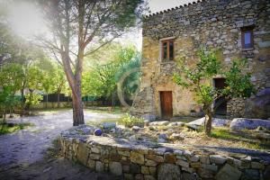 a stone house with a stone wall and a tree at Villa Santa Reparata di Balagna in LʼÎle-Rousse