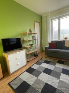a living room with a couch and a television at The Golden Glow Apartment Turku in Turku
