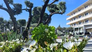 ogród z białymi kwiatami przed budynkiem w obiekcie Apartamentos La Masia w mieście L'Estartit