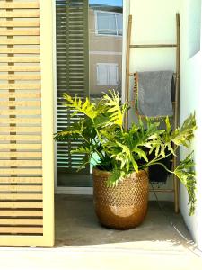 Billede fra billedgalleriet på Casa di design con mini-pool i Marina di Ragusa