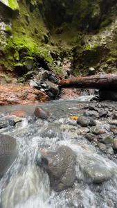 un ruisseau d'eau avec des rochers dans une rivière dans l'établissement Mineral River Eco Village, à Upala