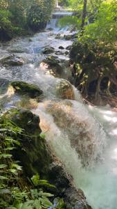 Photo de la galerie de l'établissement Mineral River Eco Village, à Upala