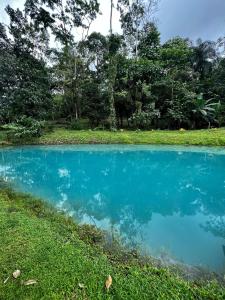 un étang bleu dans un champ planté d'arbres en arrière-plan dans l'établissement Mineral River Eco Village, à Upala