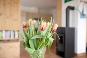 a vase filled with red and yellow tulips at Ferienwohnung Coni in Langballig