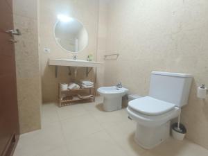 ein Badezimmer mit Toilette, Waschbecken und Spiegel in der Unterkunft NG LA SALLE - Santa Cruz de Tenerife in Santa Cruz de Tenerife + 7 Fotos