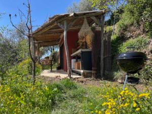 a bbq and a grill in front of a house at Il wokini in Castel Vittorio +16 photos