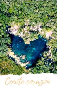 une vue aérienne sur un lac bleu dans une forêt dans l'établissement Departamento en tulum Quintana roo, à Tulum