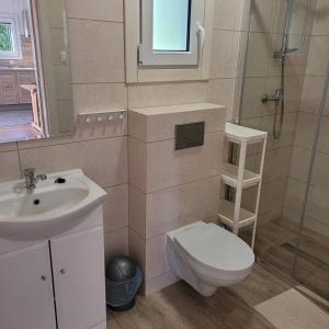a bathroom with a toilet and a sink and a shower at Ferienhaus für 4 Personen ca 37 qm in Dziwnw, Ostseeküste Polen Pommersche Bucht in Dziwnów