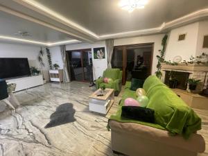 a living room with a green couch and a television at Studio in Panoramic House in Cluj-Napoca