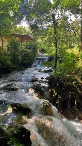 un ruisseau d'eau avec des rochers et des arbres dans l'établissement Mineral River Eco Village, à Upala
