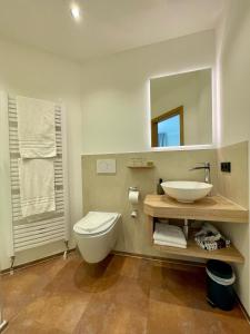 ein Badezimmer mit einem Waschbecken, einem WC und einem Spiegel in der Unterkunft Brauerei und Gasthof zum Engel in Waldstetten