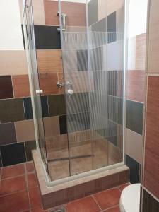 y baño con ducha y puerta de cristal. en Varázsfa Vendégház, en Demjén