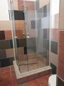 デミェンにあるVarázsfa Vendégházのバスルーム(ガラスドア付きのシャワー付)