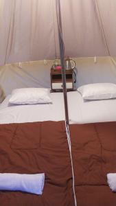 Rúm í herbergi á SunCampGround Glamping