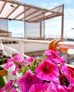 a bunch of pink flowers sitting on a table at Mon P'tit Hôtel in Le Grau-dʼAgde
