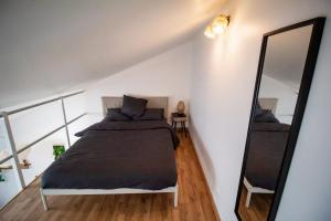 una camera con un letto e un grande specchio di Le charmant accueil viennois/T2/wifi/cosy/parking a Poitiers