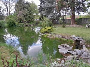 a pond in a yard with trees and grass at Varázsfa Vendégház in Demjén